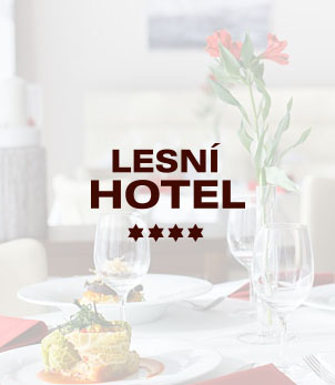 Lesní Hotel - SMART web pro luxusní hotel ze Zlína